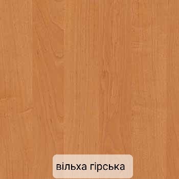 Шафа купе 2 х дверна Класік В 900мм foto 15